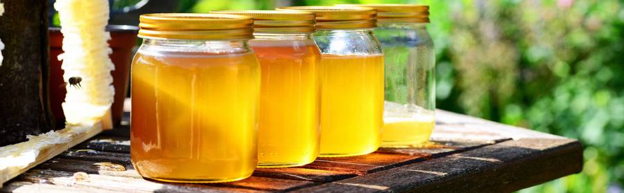 -10% apiculture récolte et hivernage 