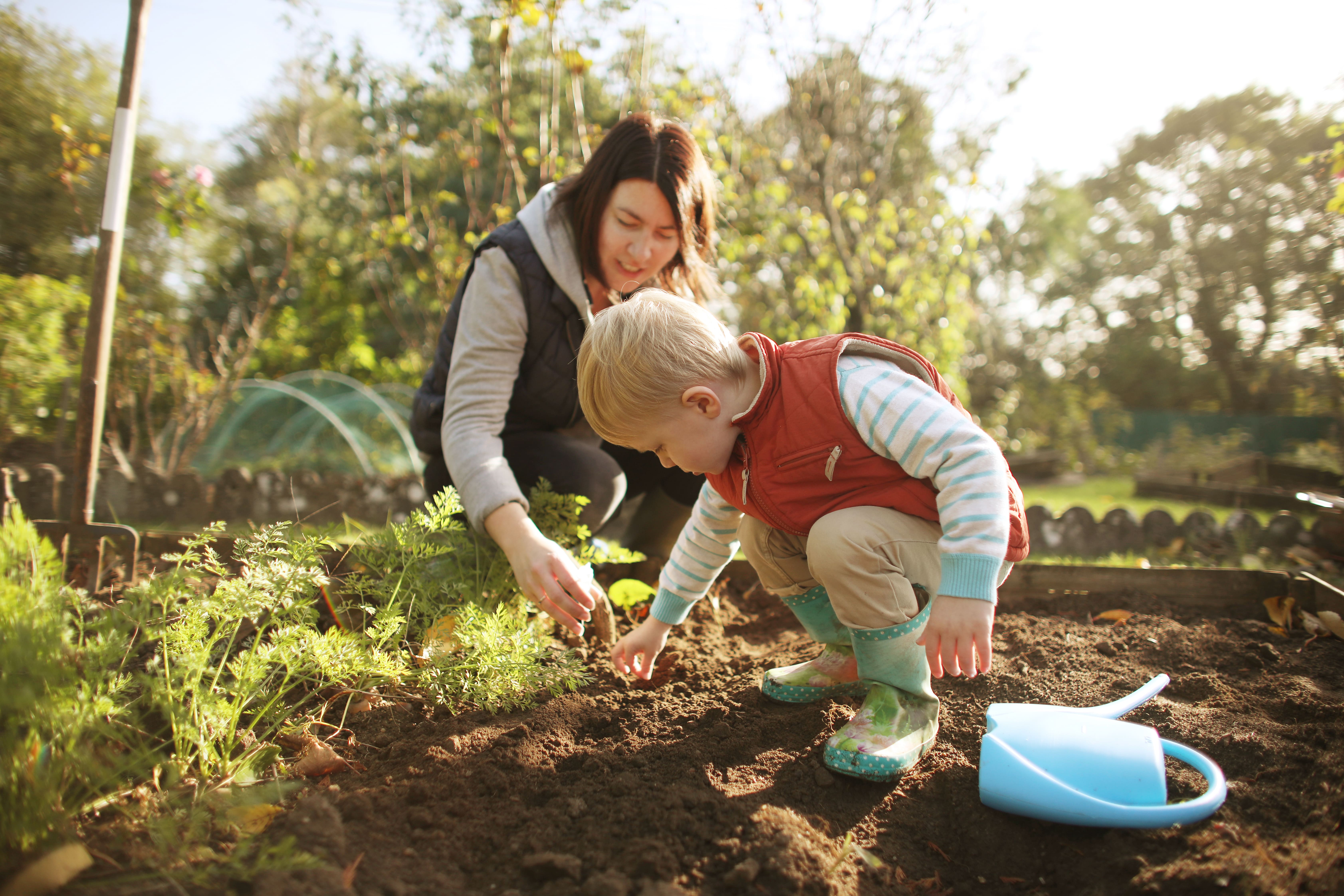 Partager la passion du potager 