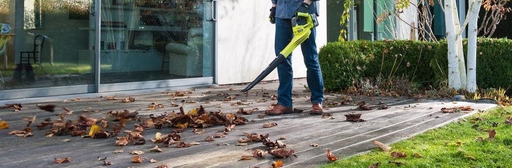 Aspirateur, souffleur