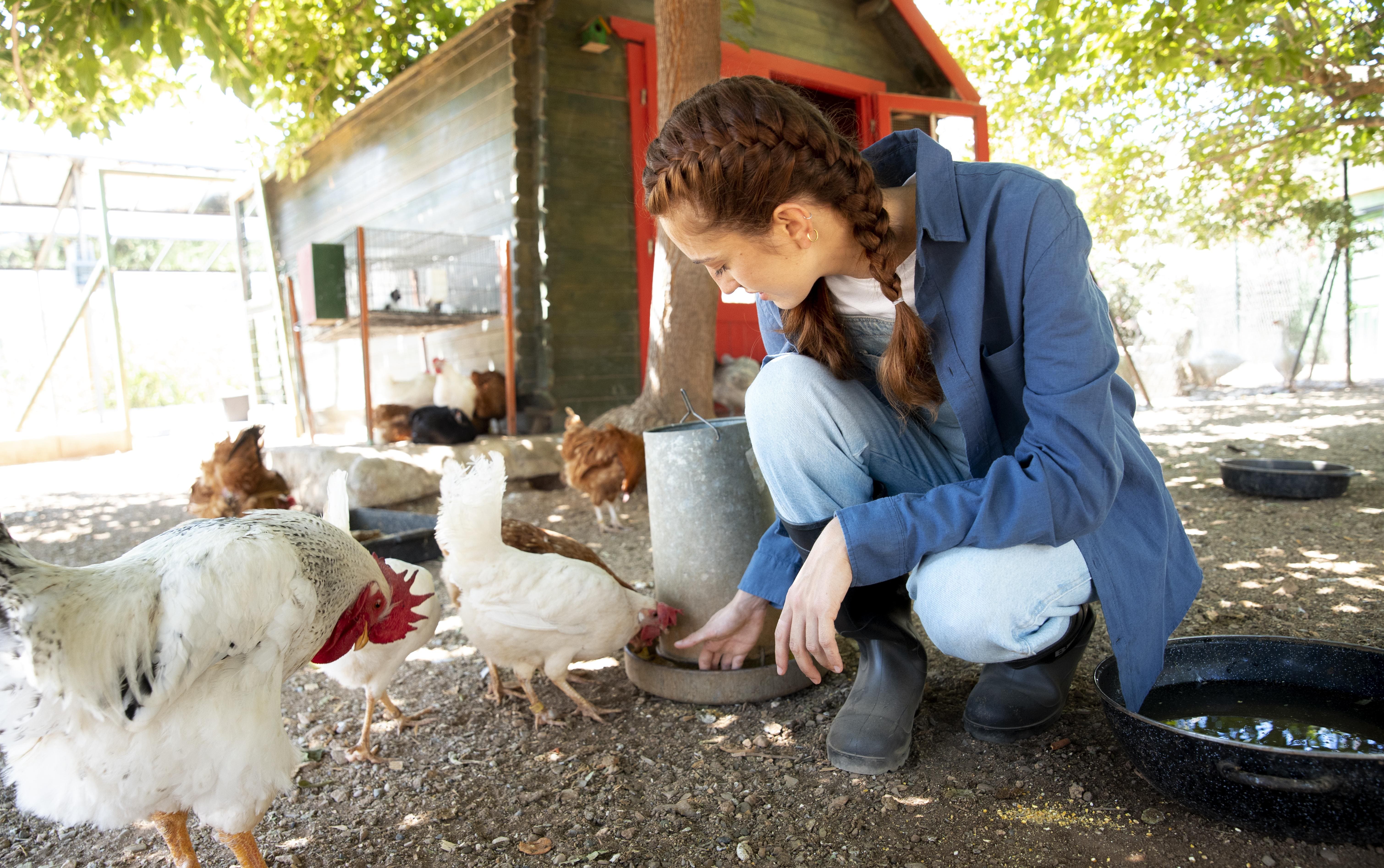 Complément alimentaire, friandise