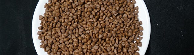 Découvrez nos distributeurs de croquettes !