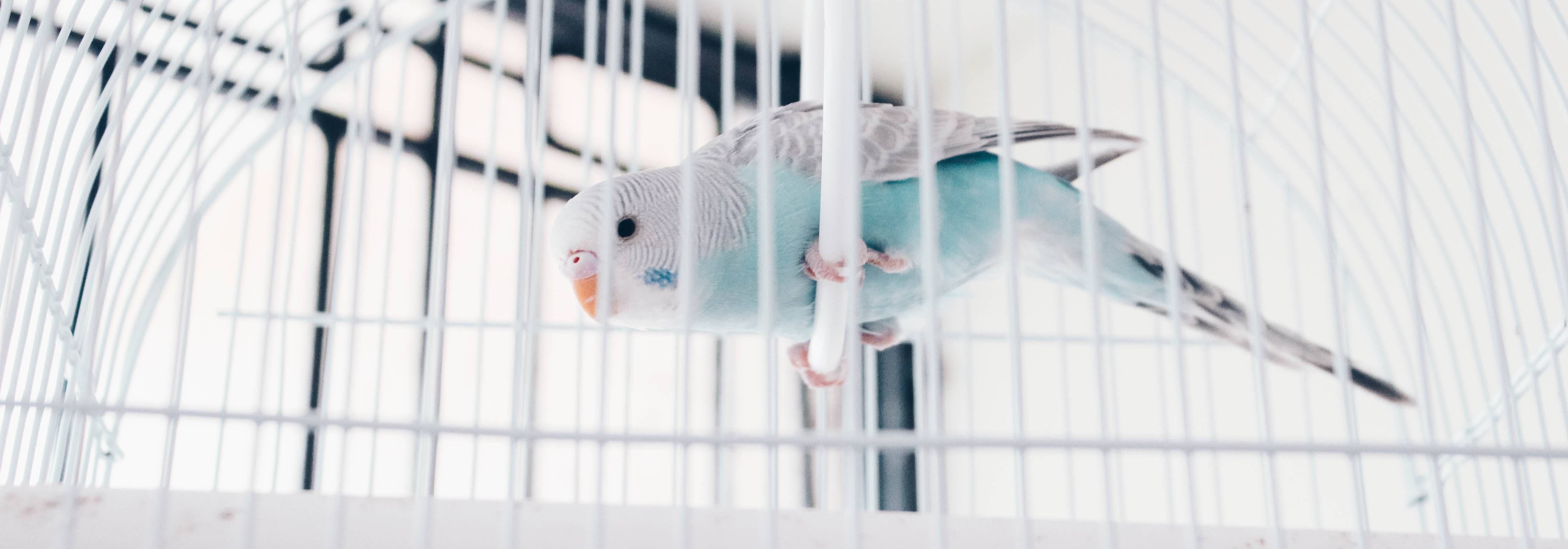 Habitat, transport Habitat, transport