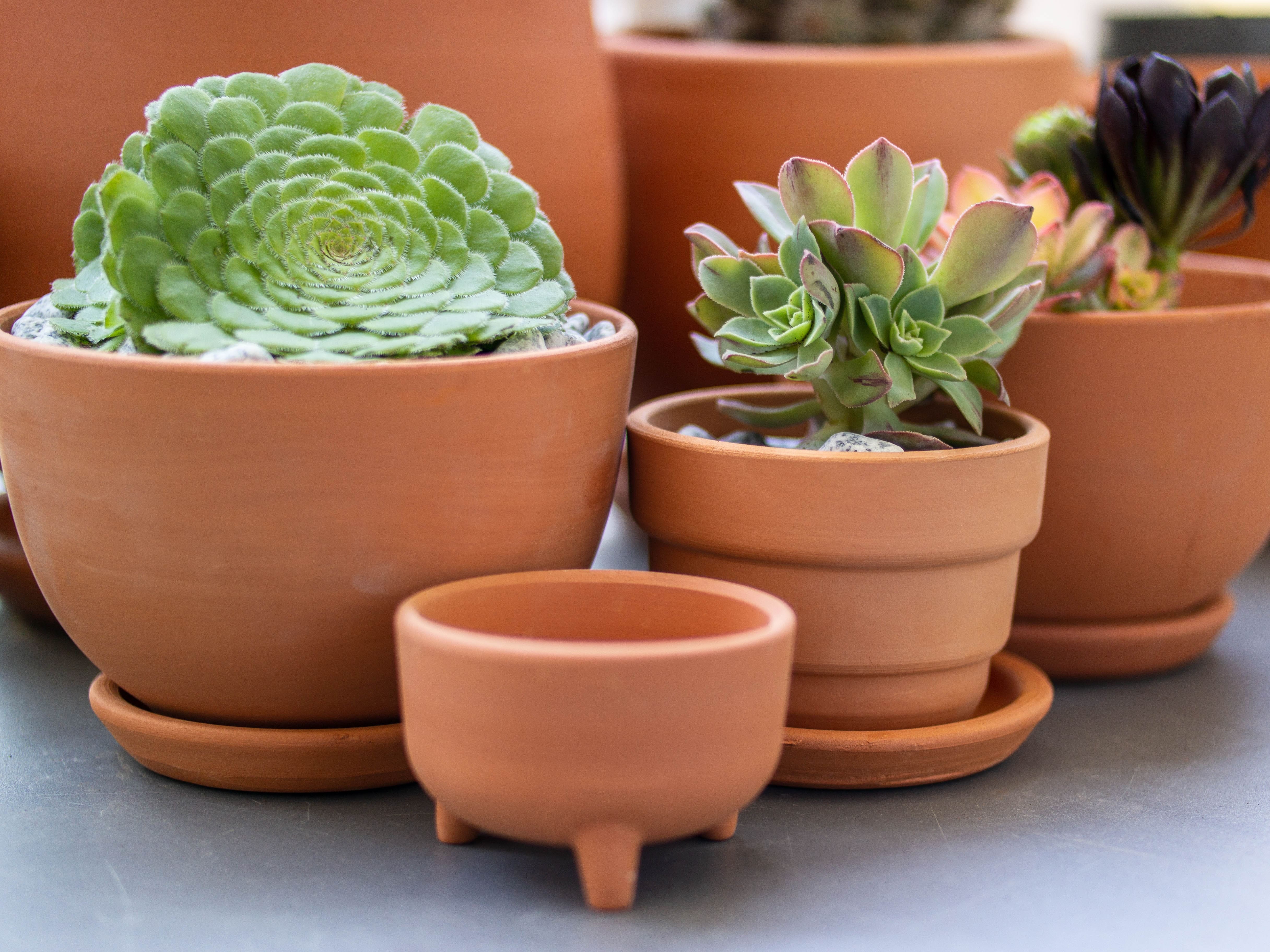 Poteries en terre cuite non gélive pour jardin et terrasse