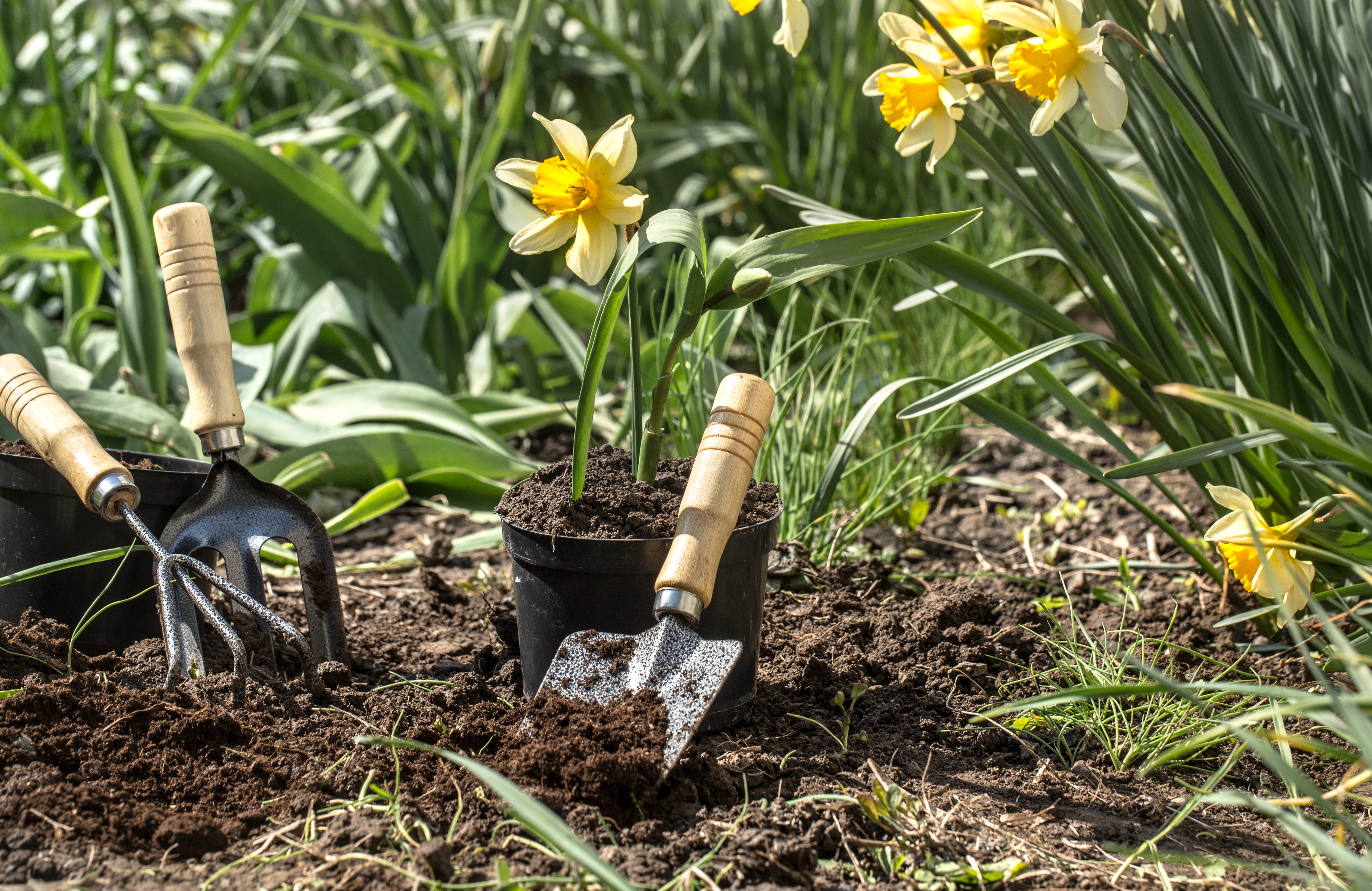 Outils à main du jardinier Outils à main du jardinier