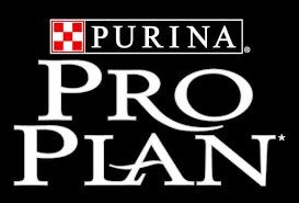 PRO PLAN