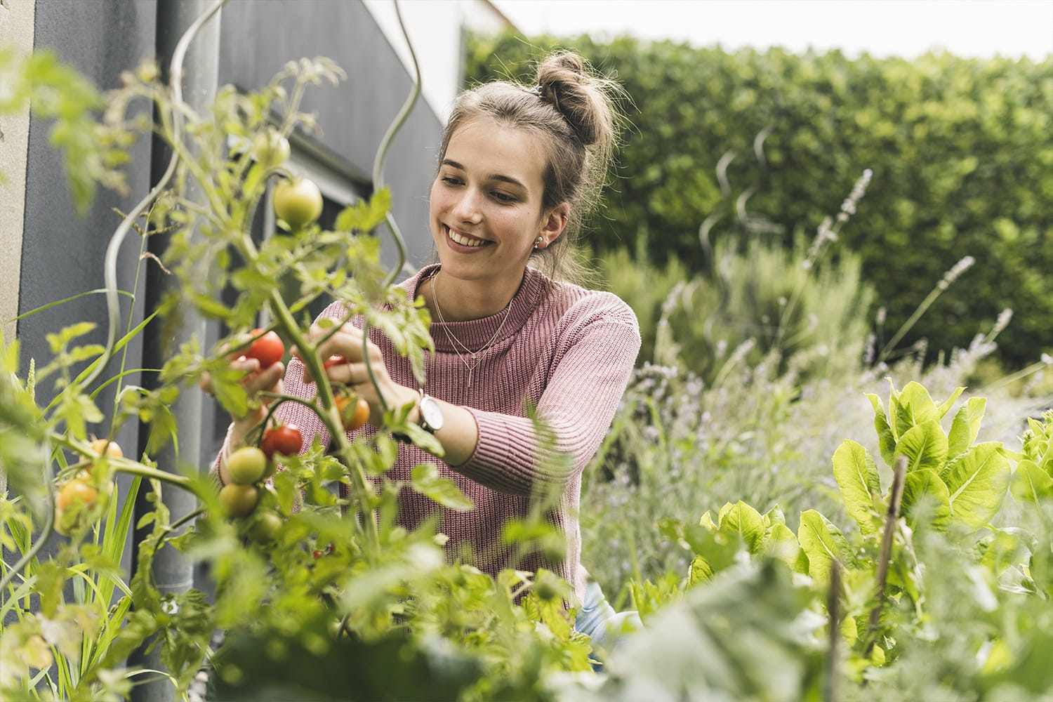 Femme-occupe-tomates