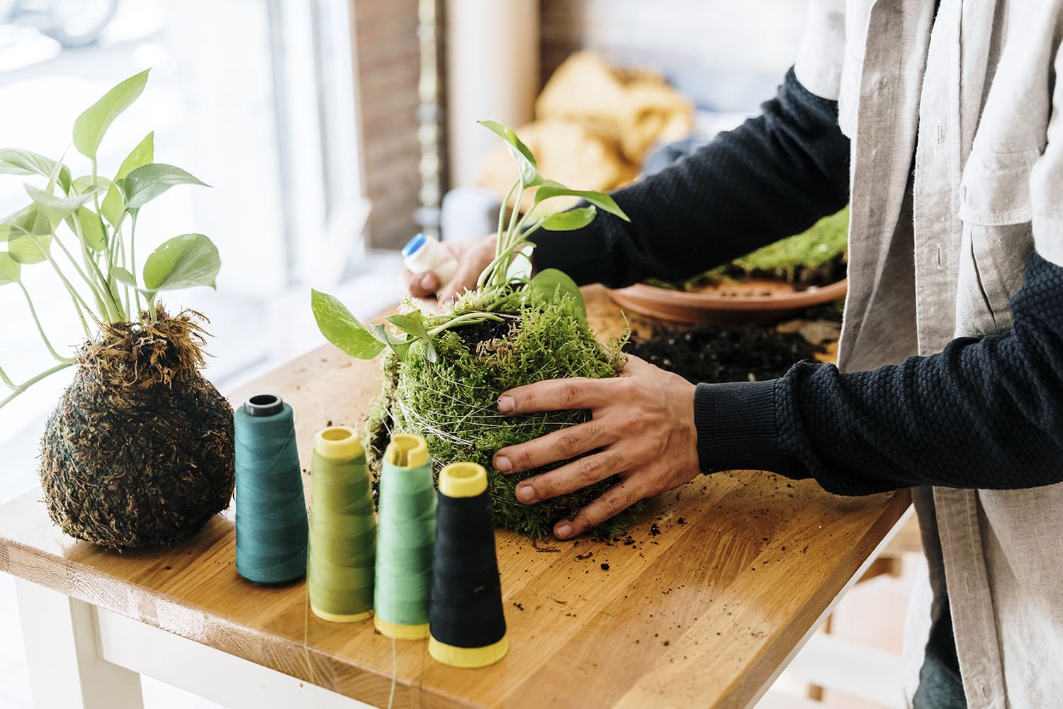 Comment réaliser un kokedama suspensu 