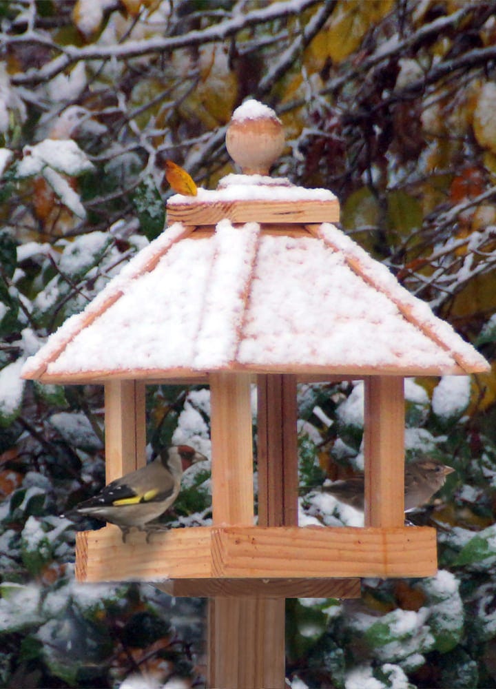 Mangeoire oiseaux bois