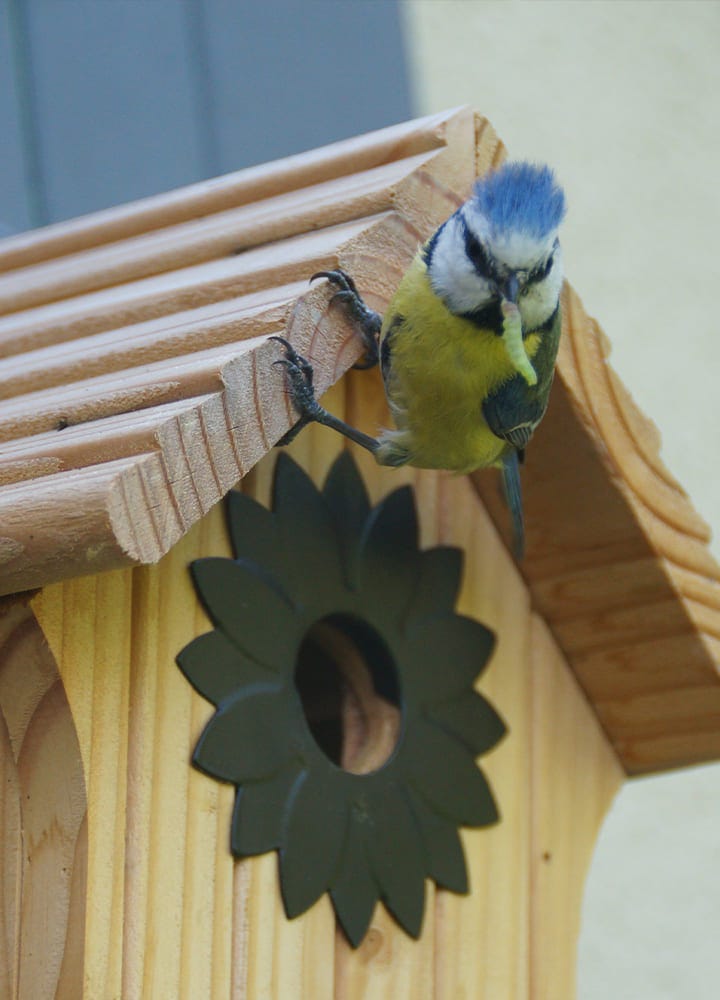 nichoir jardin