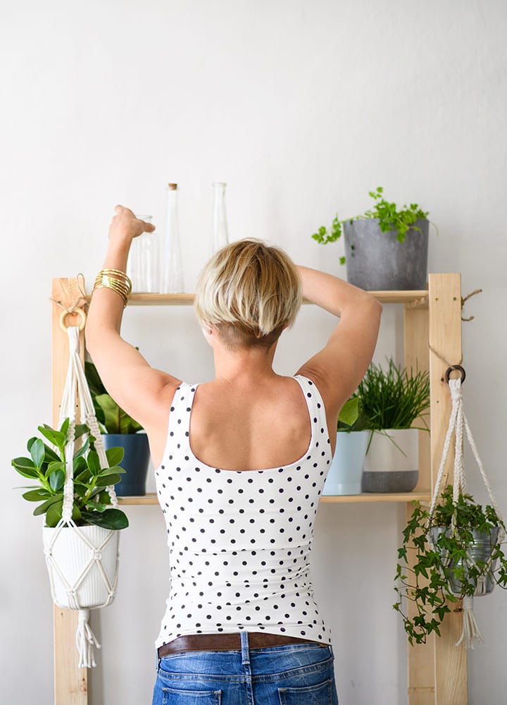 étagères plantes décoration contruction d'étagères pour plantes