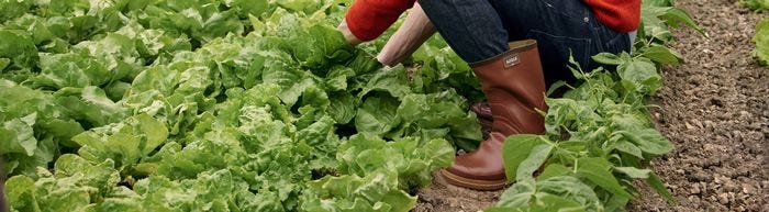 jardin en bottes