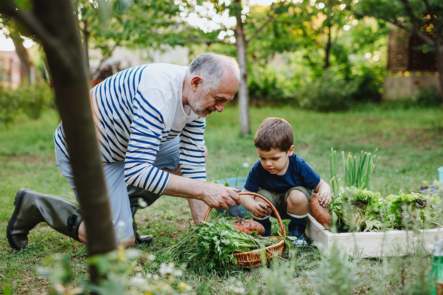 Bien associer les légumes au potager - Gamm vert