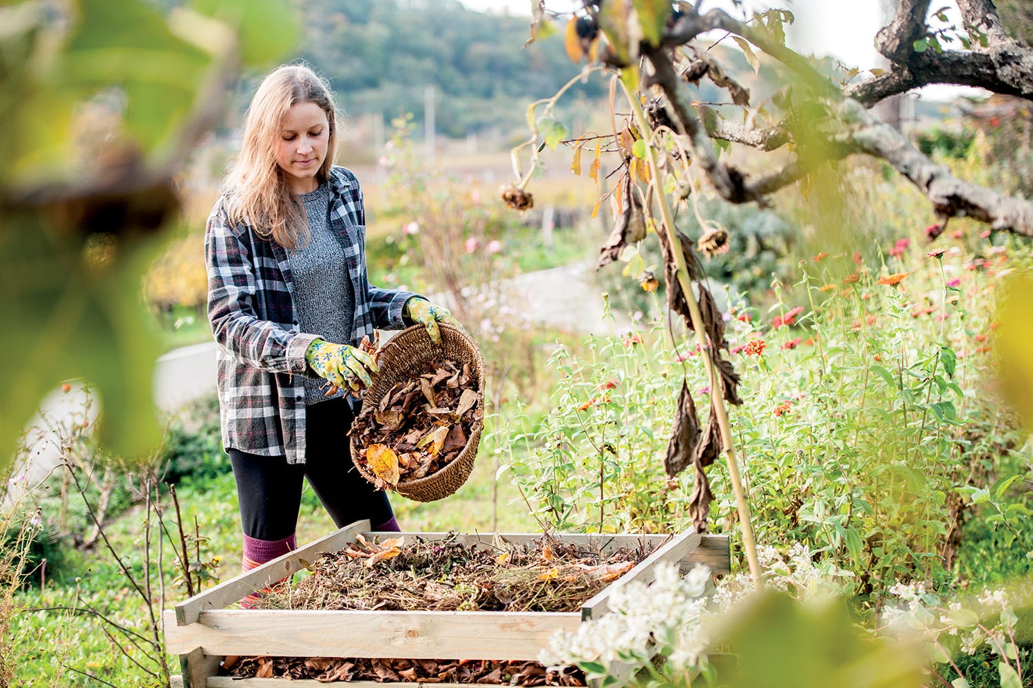 Comment cacher son composteur dans le jardin ?