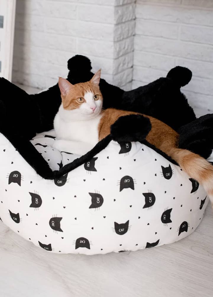 couchage pour chat