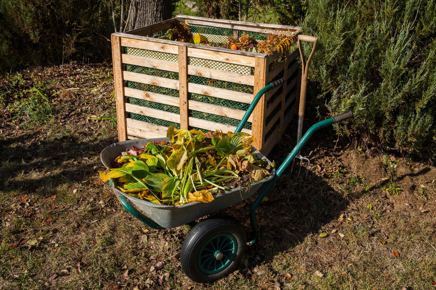 déchets du jardin pour composteur 