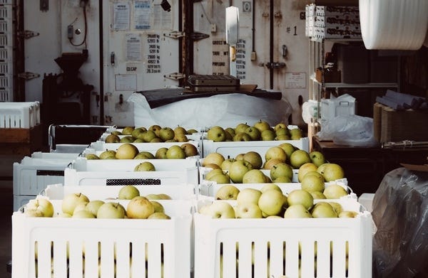 la fabrication du cidre