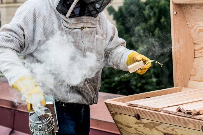 fumée froide et dense fumée de l'enfumoir