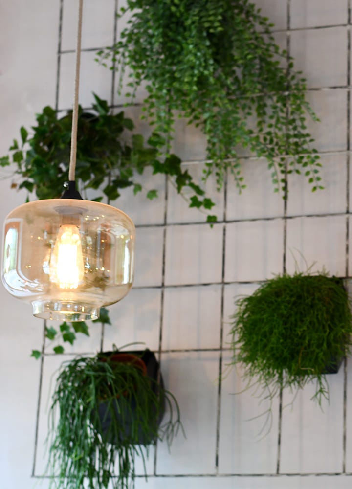 grille décorative pour suspension plantes grille pour suspendre plantes