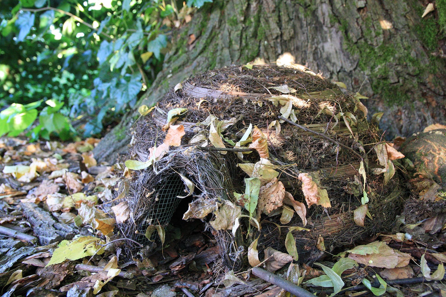 abri de jardin pour hérisson bois branches et feuilles