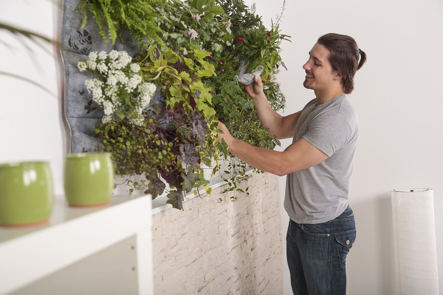 entretien des plantes mur végétal