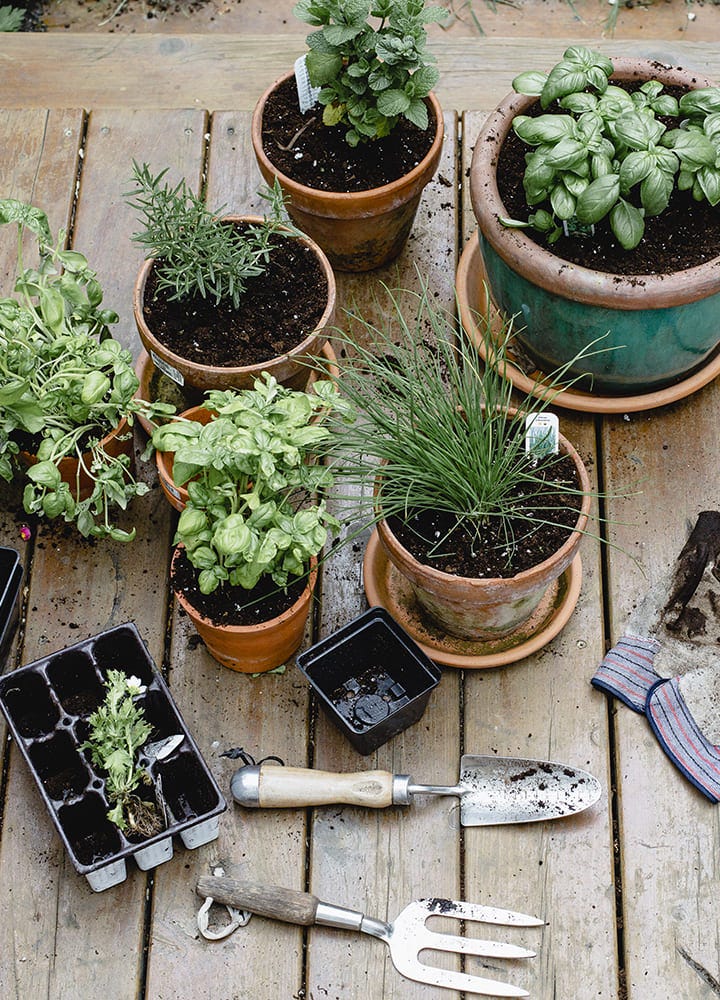 outils taille réduite jardinage