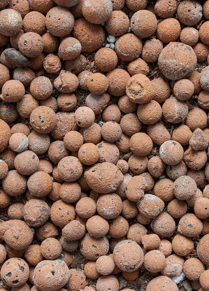 paillage minéral billes d'argile pour plantations