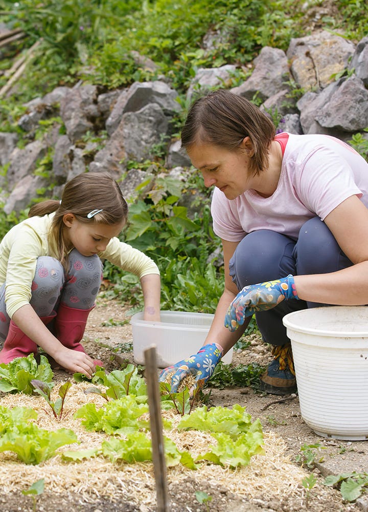 paillis lin pour potager