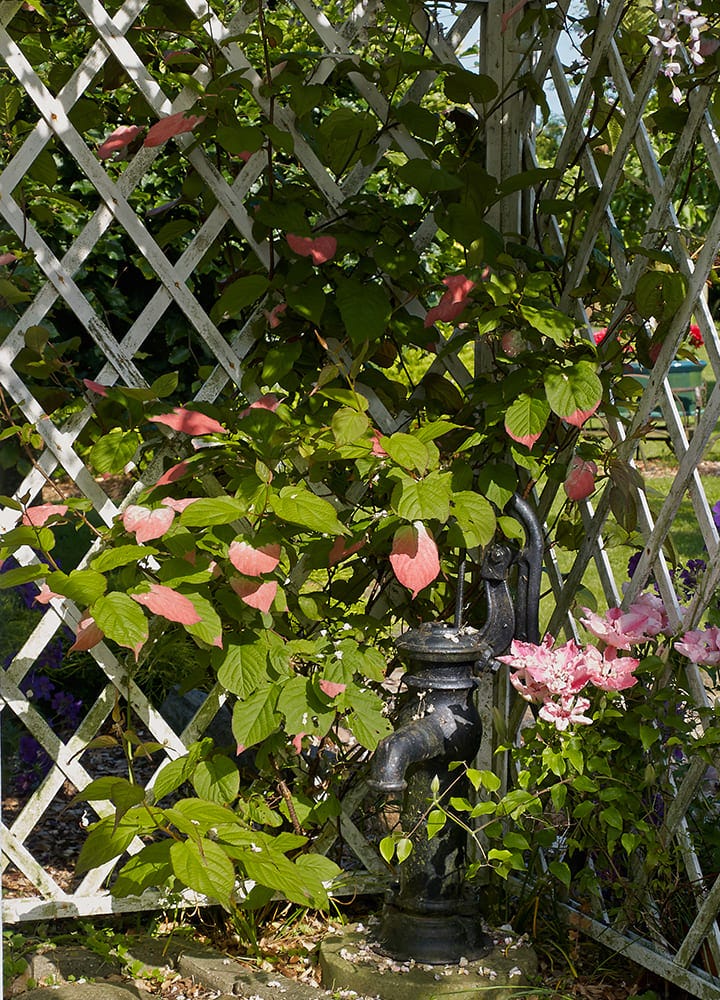 Rideaux brises-vue - Site du magasin La Jardinière Courcelles