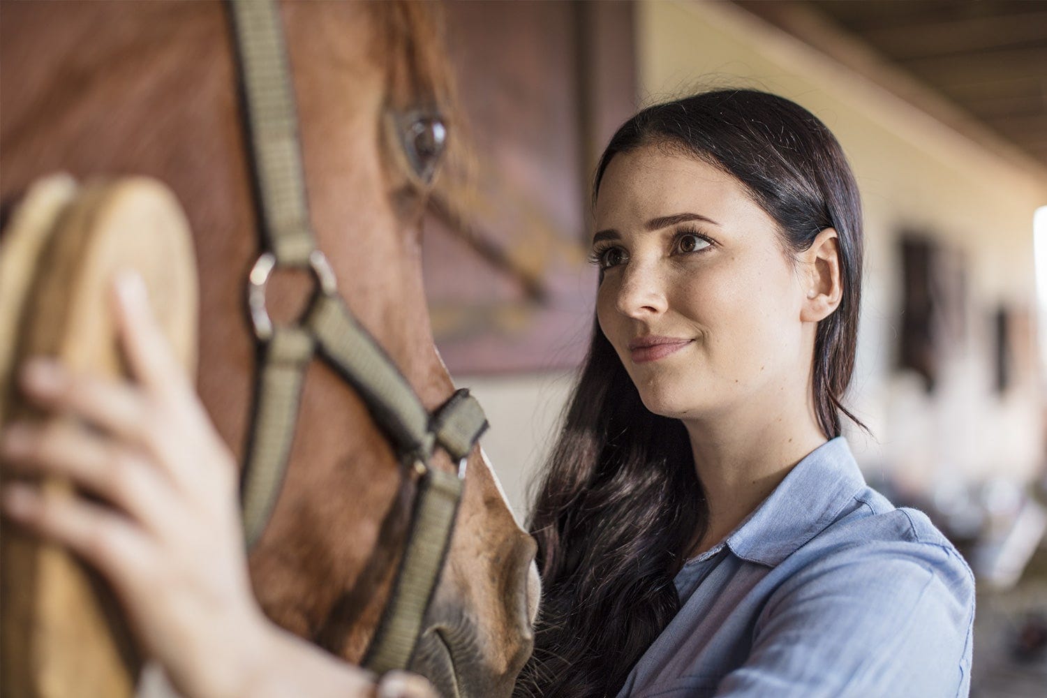 brosse douce pour la robe du cheval