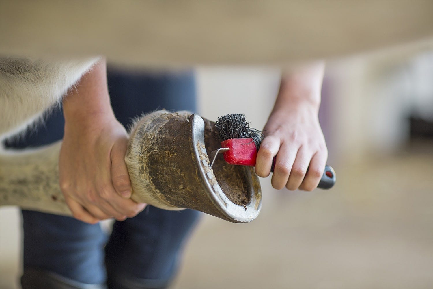 cure-pied pour le nettoyage des sabots