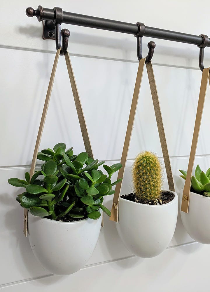 rails décoratifs pour plantes rails décoratifs pour suspendre plantes