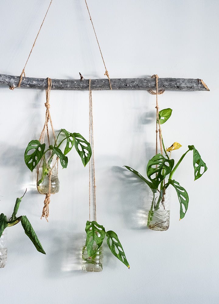 suspension plantes avec macramé