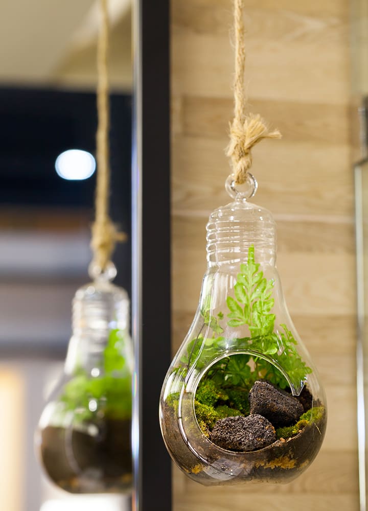 terrarium suspendu décoratif intérieur terrarium avec plantes à suspendre