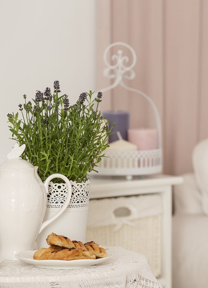 Lavande - plante relaxante chambre Lavande plante relaxante